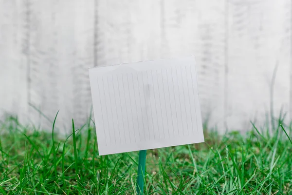 Plain paper cardboard attached to a stick and plugged in the grassy land. White empty sheet is placed in ground with green grass. Photography idea with small object