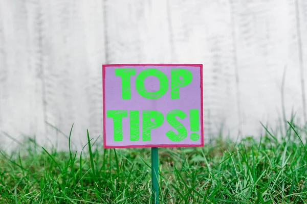 Text sign showing Top Tips. Conceptual photo small but particularly useful piece of practical advice Plain empty paper attached to a stick and placed in the green grassy land.