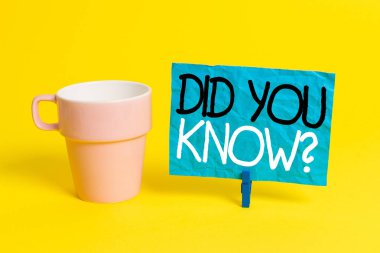 El yazısı metin You Know Soru mu. Kavram anlamı onlar aslında veya olay Fincan boş kağıt mavi clothespin dikdörtgen şekilli hatırlatma sarı ofis biliyorsanız birisi soruyorsanız.