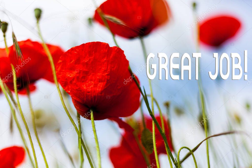 Writing note showing Great Job. Business photo showcasing used praising someone for something they have done well Front view summer red color poppy flowers sky background.