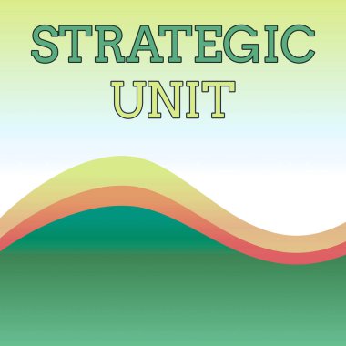 Stratejik Birimi gösteren metin işareti. Kavramsal fotoğraf kar merkezi ürün sunumu ve pazar segmentine odaklanmıştır. Dalgalı Soyut Tasarım Üç Ton Arka Plan Merkezinde İki Kıvrımlı Çizgiler ile.