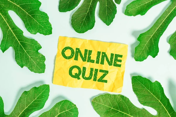 Text sign showing Online Quiz. Conceptual photo game or a mind sport that are published on the Internet.