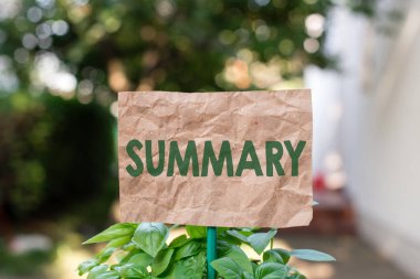 Kelime yazma metni Özet. Kısa bir açıklama veya bir şey ana noktalarının hesabı için İş kavramı Düz boş kağıt bir sopa bağlı ve yeşil yapraklı bitkiler yerleştirilir.