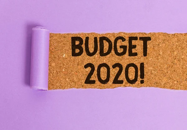 Conceptueel handschrift dat budget 2020 weergeeft. Zakelijke fotopresentatie raming van baten en lasten voor volgend of huidig jaar. — Stockfoto