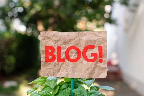 Word writing text Blog. Business concept for regularly updated website web page run by individual or group Plain empty paper attached to a stick and placed in the green leafy plants.