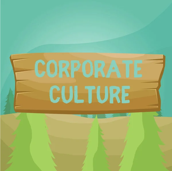 Word writing text Corporate Culture. Business concept for pervasive values and attitudes that characterize a company Plank wooden board blank rectangle shaped wood attached color background.