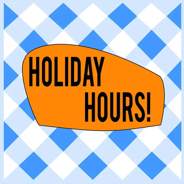 Conceptual hand writing showing Holiday Hours. Business photo text Overtime work on for employees under flexible work schedules White and Blue Grid Cell in Straight Line Intertwined Pattern. — Stock Photo, Image