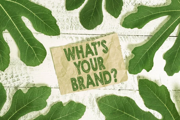 Word-szöveg írása mi S a márka kérdés. Üzleti koncepció kérdezett termék logó nem, vagy mit kommunikálnak. — Stock Fotó