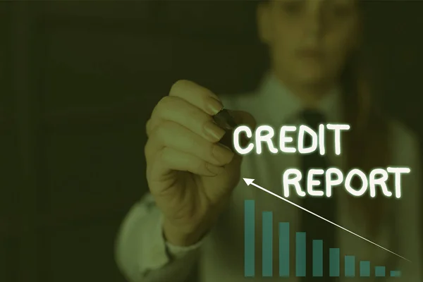 Writing note showing Credit Report. Business photo showcasing Borrowing Rap Sheet Bill and Dues Payment Score Debt History Woman wear formal work suit presenting presentation using smart device.