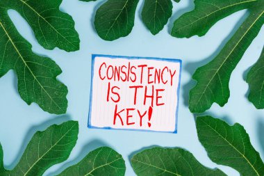El yazısı tutarlılığı anahtardır. Kötü alışkanlıklardan kurtulmak ve iyi alışkanlıkları oluşturmak anlamında kavram.