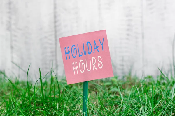 Escribiendo una nota que muestra el horario de vacaciones. Foto de negocios mostrando empleado recibe el doble de su salario normal para todas las horas Papel liso adjunto a palo y colocado en la tierra herbácea . — Foto de Stock