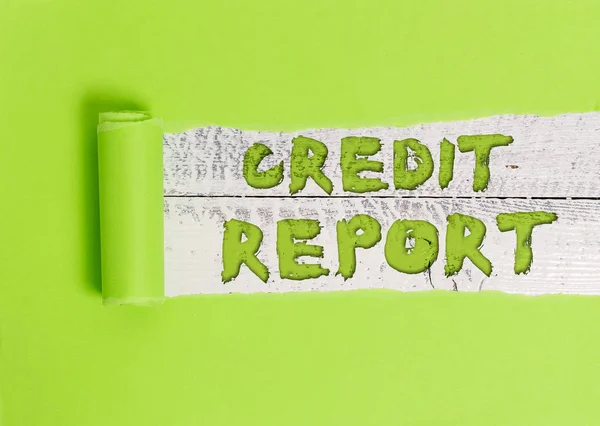 Word writing text Credit Report. Business concept for Borrowing Rap Sheet Bill and Dues Payment Score Debt History.