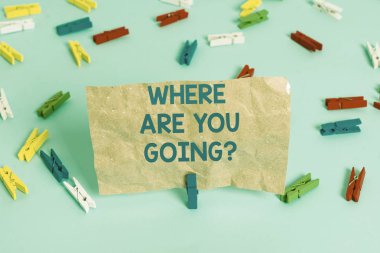 Nereye Gidiyorsunuz Sorusunu gösteren metin işareti. Kavramsal fotoğraf birisi ne hedef Renkli clothespin kağıtları boş hatırlatma mavi zemin arka plan ofis pin başlı sormak için kullanılır.