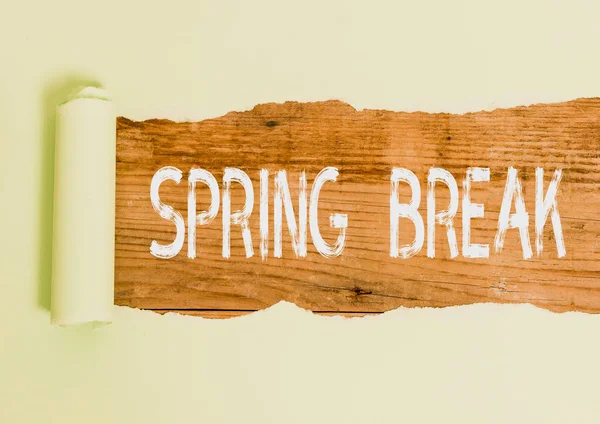 Text sign showing Spring Break. Conceptual photo Vacation period at school and universities during spring. — Stock Photo, Image