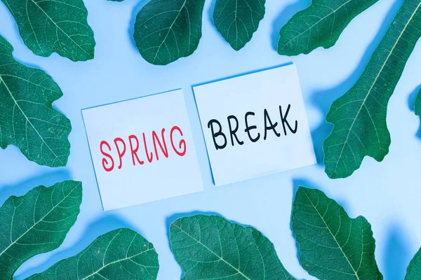 Handwriting text writing Spring Break. Concept meaning Vacation period at school and universities during spring.