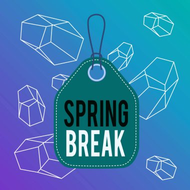 Kelime yazma metni Bahar Tatili. Bahar aylarında okulda ve üniversitelerde Tatil dönemi için İş konsepti Boş etiket boş alan renkli arka plan etiket dikdörtgen bağlı dize.