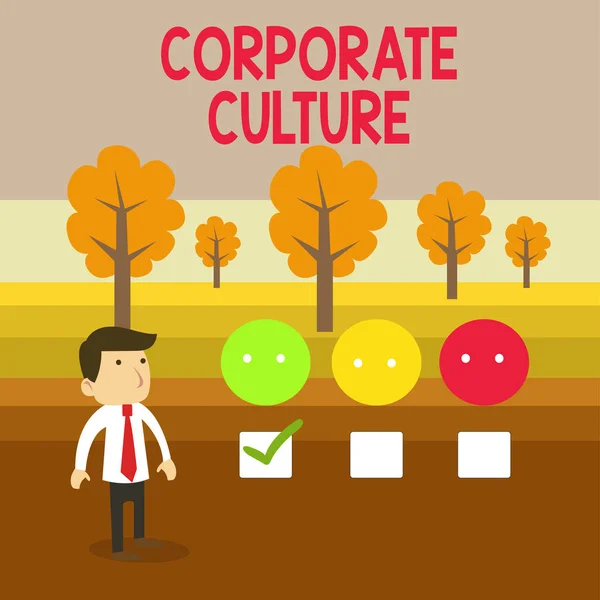 Fogalmi kéz írása mutatja Corporate kultúra. Üzleti fotó szöveg átható értékek és attitűdök jellemző a vállalat fehér kérdőív felmérés Choice elégedettség zöld Tick. — Stock Fotó