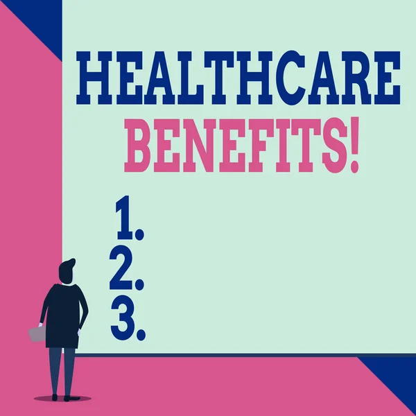Handwriting text Healthcare Benefits. Concept meaning monthly fair market valueprovided to Employee dependents Back view young woman watching blank big rectangle. Geometrical background. — 스톡 사진