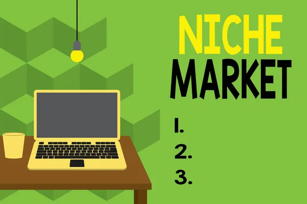 Text sign showing Niche Market. Conceptual photo Subset of the market on which specific product is focused Front view open laptop lying on wooden desktop light bulb falling glass.