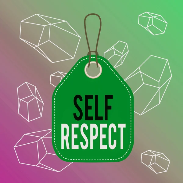 Word writing text Self Respect. Business concept for Pride and confidence in oneself Stand up for yourself Empty tag blank space colorful background label rectangle attached string.