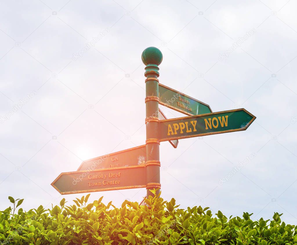 Handwriting text Apply Now. Concept meaning An act of a demonstrating to acquire the job related to the profession Green road sign on the crossroads with blue sky and green grass in the background.