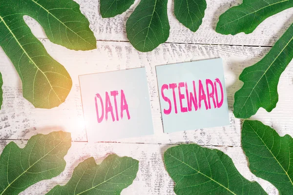 Handwriting text Data Steward. Concept meaning responsible for utilizing an organization s is data governance.