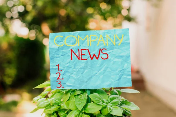 Conceptual hand writing showing Company News. Business photo text provides news and feature articles about the company status Plain paper attached to stick and placed in the grassy land.