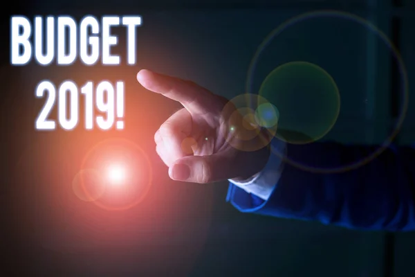 Texte textuel Budget 2019 Concept d'entreprise pour l'estimation des recettes et des dépenses de l'année en cours Isolé main pointant du doigt. Concept d'entreprise pointant du doigt . — Photo