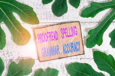 Writing note showing Proofread Spelling Grammar Accuracy. Business photo showcasing Grammatically correct Avoid mistakes. clipart
