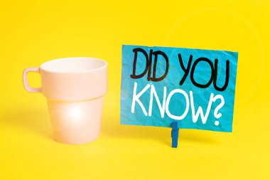 El yazısı metin You Know Soru mu. Kavram anlamı onlar aslında veya olay Fincan boş kağıt mavi clothespin dikdörtgen şekilli hatırlatma sarı ofis biliyorsanız birisi soruyorsanız.