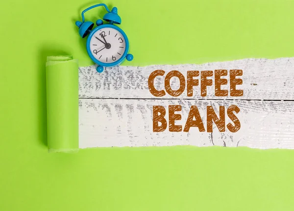 커피 콩을 쓰는 필기 텍스트입니다. 종종 체리라고 하는 붉은 색 또는 보라색 과일 내부의 구덩이를 의미하는 개념. — 스톡 사진