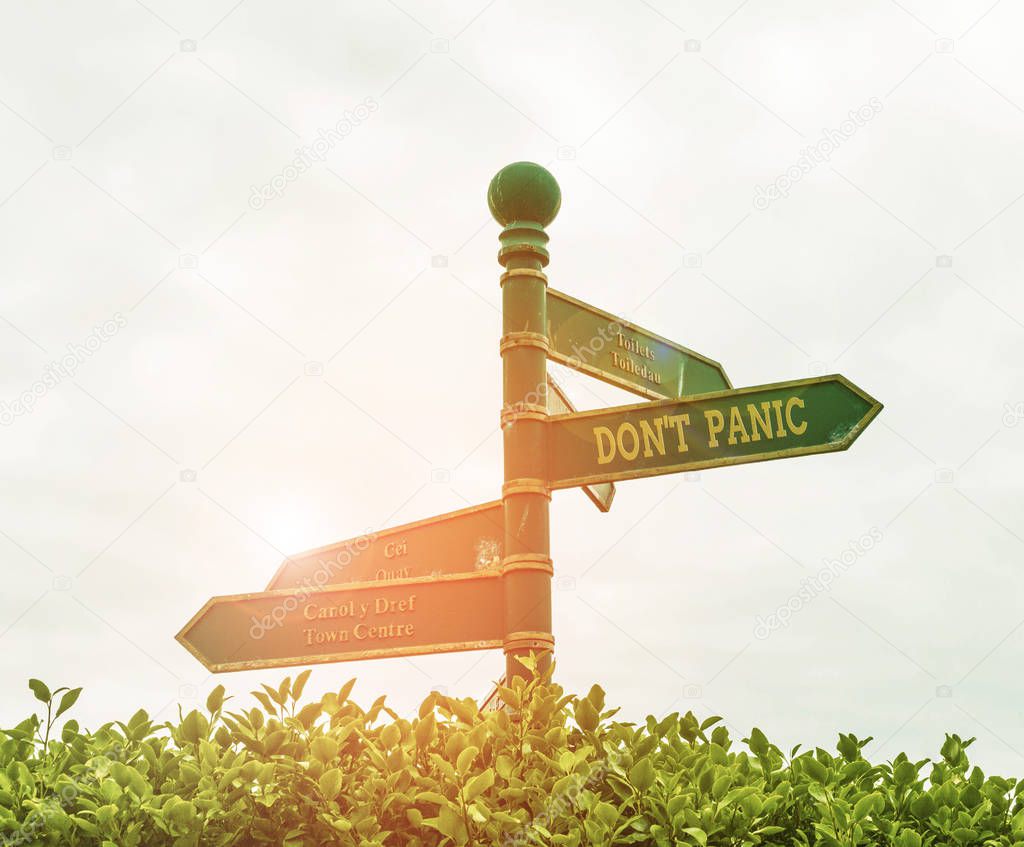 Handwriting text Don T Panic. Concept meaning sudden strong feeling of fear prevents reasonable thought Green road sign on the crossroads with blue sky and green grass in the background.