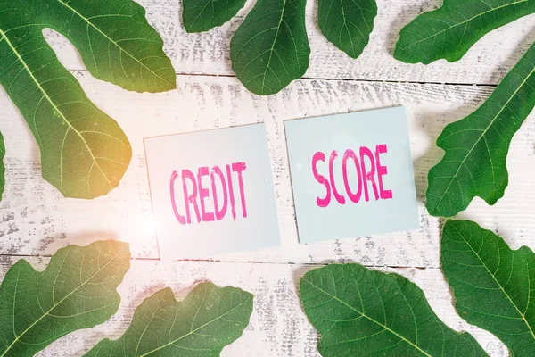 Handwriting text Credit Score. Concept meaning creditworthiness of an individual based on credit files.