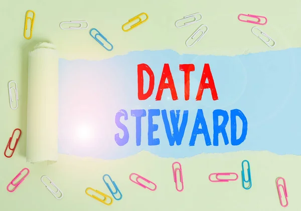 Σήμα κειμένου που δείχνει τον Data Steward. Εννοιολογική φωτογραφία υπεύθυνη για τη χρήση ενός οργανισμού s είναι η διακυβέρνηση δεδομένων. — Φωτογραφία Αρχείου