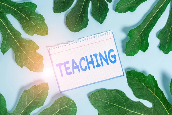 Sinal de texto mostrando Ensino. Foto conceitual Ato de dar informações, explicando um assunto a uma demonstração . — Fotografia de Stock