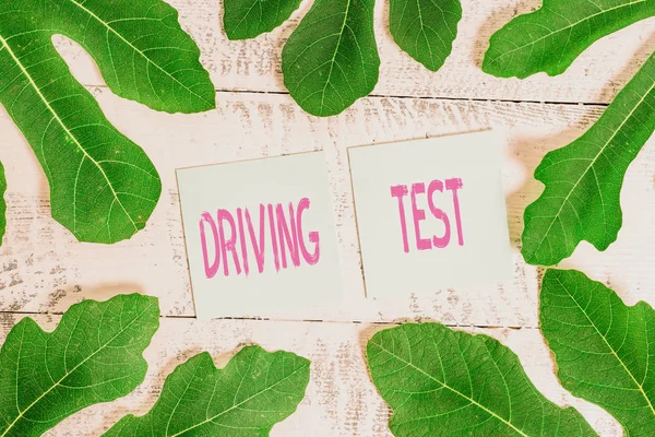Rukopisný text řidičský test. Koncepce znamená postup pro zkoušku prokazování s je schopnost řídit motorové vozidlo. — Stock fotografie