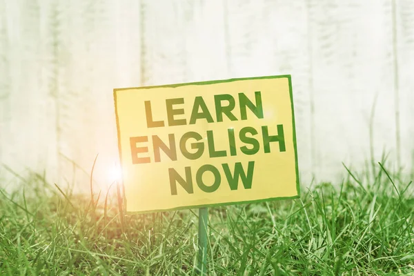 Escritura a mano Aprende inglés ahora. Concepto que significa ganar o adquirir conocimiento y habilidad del idioma inglés Papel vacío liso pegado a un palo y colocado en la tierra herbácea verde . —  Fotos de Stock