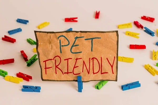 Palavra escrita texto Pet Friendly. Conceito de negócio para usado para descrever um lugar que é adequado ou permitido para animais de estimação Papel de roupa colorida lembrete vazio piso branco fundo escritório . — Fotografia de Stock