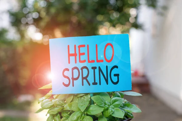 Writing note showing Hello Spring. Business photo showcasing welcoming the season of the blossoming of flowers End of winter Plain paper attached to stick and placed in the grassy land. — Stock Photo, Image