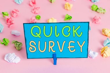 Hızlı İnceleme 'yi gösteren bir not yazıyorum. Hedef kitlenin hemen tamamlayabileceği iş fotoğrafı anketi Renkli buruşmuş kağıtlar boş hatırlatıcı pembe zemin çamaşır mandalı.