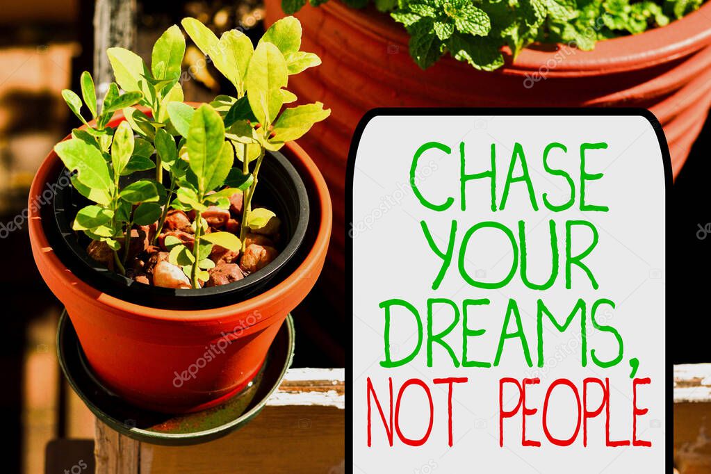 Writing note showing Chase Your Dreams Not People. Business photo showcasing Do not follow others chasing goals objectives Plentiful plants on a small pot placed side by side with a large one.