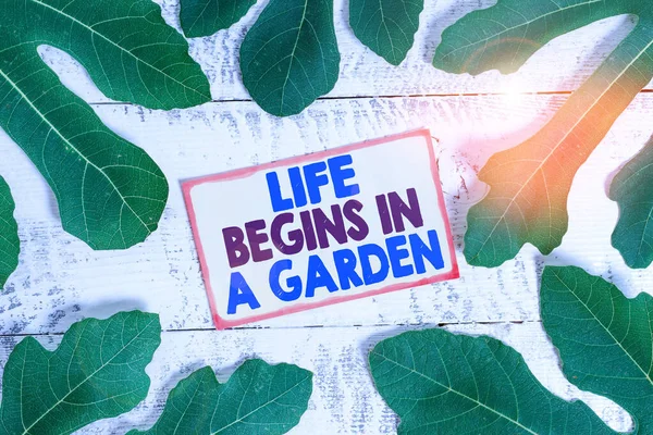 Sinal de texto mostrando a vida começa em um jardim. Foto conceitual Agricultura Plantas crescendo amoroso para jardinagem . — Fotografia de Stock