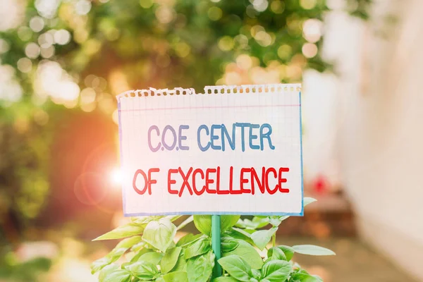Word writing text Coe Center Of Excellence. Business concept for being alpha leader in your position Achieve Plain empty paper attached to a stick and placed in the green leafy plants. — 图库照片