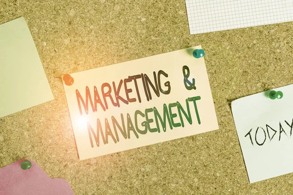 Writing note showing Marketing And Management. Business photo showcasing process of developing strategies for product Corkboard size paper thumbtack sheet billboard notice board. — 图库照片