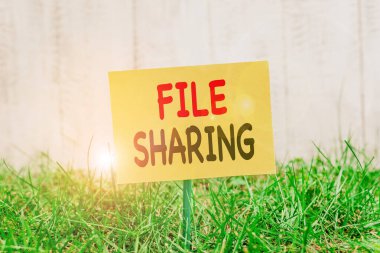 Dosya Paylaşımını gösteren not yazılıyor. İş fotoğrafı gösterimi, bir bilgisayardan diğerine aktarılan dosyaları sade bir ağ kağıdına iliştirerek çimenli topraklara yerleştirir.