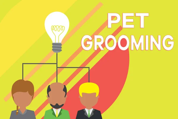 Почерк написания текста Pet Grooming. Концепция, означающая гигиеническую заботу и усиление внешнего вида питомцев группы три исполнительных лиц, разделяющих иконку идеи. Собрание стартап-команды . — стоковое фото