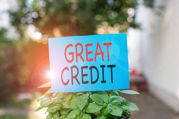 Writing note showing Great Credit. Business photo showcasing borrower has high credit score and is a safe credit risk Plain paper attached to stick and placed in the grassy land.