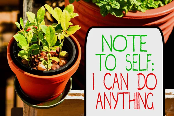 Writing note showing Note To Self I Can Do Anything. Business photo showcasing Motivation for doing something confidence Plentiful plants on a small pot placed side by side with a large one. — Stock Photo, Image