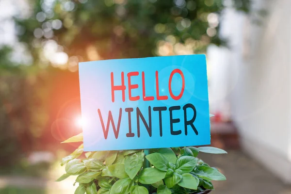 Escribiendo nota mostrando Hello Winter. Foto comercial que muestra la estación más fría del año en zonas polares y templadas Papel liso adherido al palo y colocado en la tierra herbosa . —  Fotos de Stock