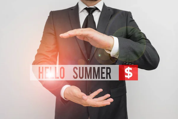 Signo de texto que muestra Hello Summer. Temporada de fotos conceptuales después de la primavera y antes del otoño, donde el clima es cálido . — Foto de Stock